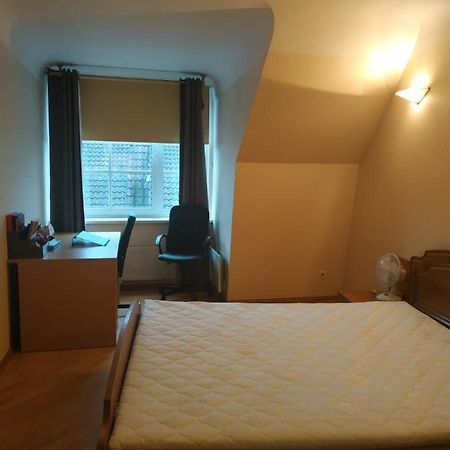 Red Nose Roof-Top Apartment Riga Bagian luar foto