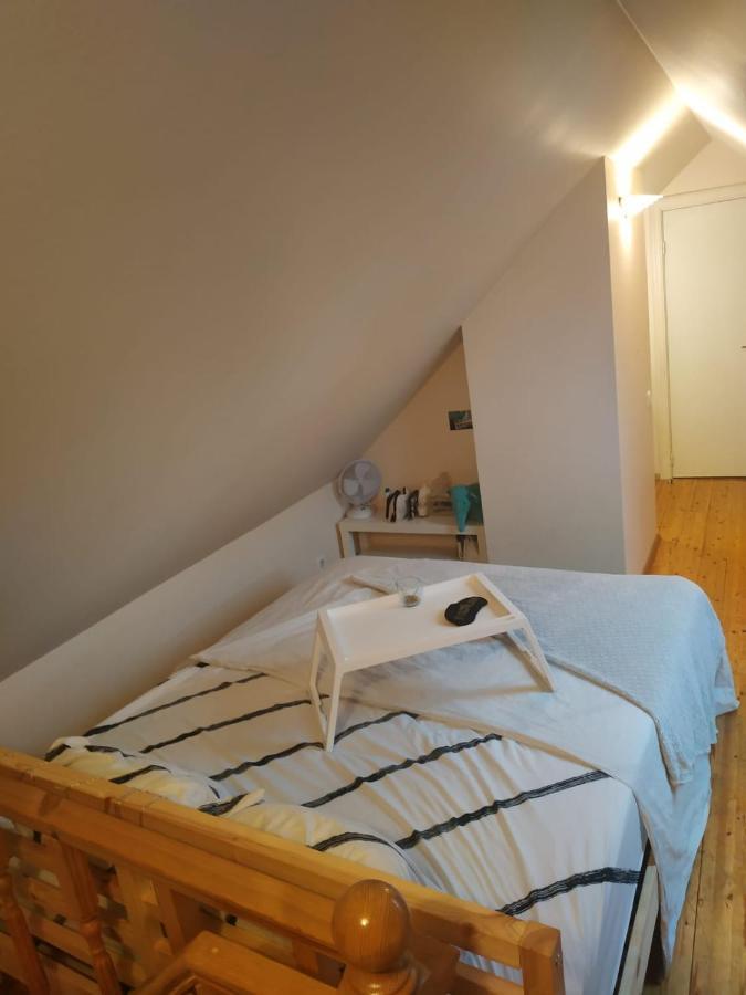 Red Nose Roof-Top Apartment Riga Bagian luar foto