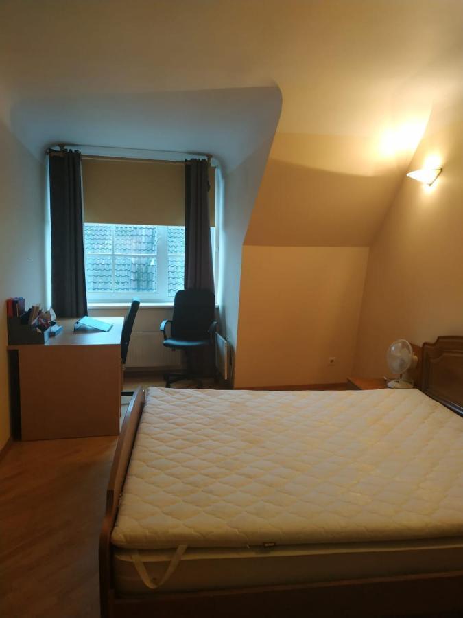 Red Nose Roof-Top Apartment Riga Bagian luar foto
